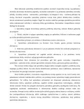 Institucinė sąveika administruojant darbo apsaugą 17 puslapis