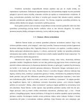 Institucinė sąveika administruojant darbo apsaugą 18 puslapis