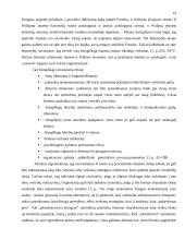 Institucinė sąveika administruojant darbo apsaugą 19 puslapis