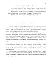 Institucinė sąveika administruojant darbo apsaugą 3 puslapis