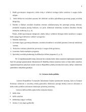 Institucinė sąveika administruojant darbo apsaugą 4 puslapis