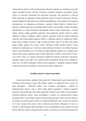 Pasvalio rajone esančių Lietuvos komercinių bankų filialų teikiamos paskolos 13 puslapis