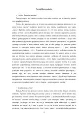 Pasvalio rajone esančių Lietuvos komercinių bankų filialų teikiamos paskolos 5 puslapis