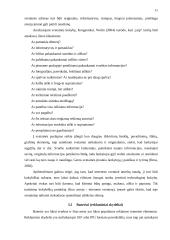 Internetinės reklamos rinka Lietuvoje 11 puslapis