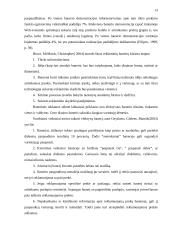 Internetinės reklamos rinka Lietuvoje 13 puslapis