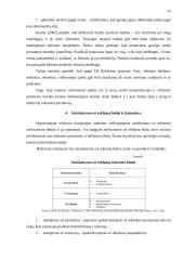 Internetinės reklamos rinka Lietuvoje 15 puslapis