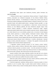 Internetinės reklamos rinka Lietuvoje 17 puslapis