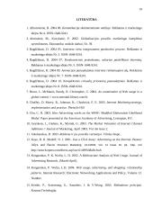 Internetinės reklamos rinka Lietuvoje 19 puslapis