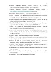 Internetinės reklamos rinka Lietuvoje 20 puslapis