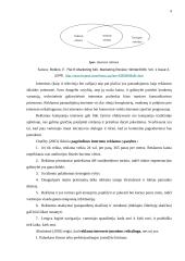 Internetinės reklamos rinka Lietuvoje 4 puslapis