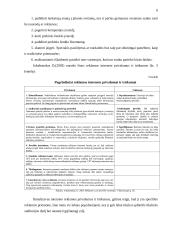 Internetinės reklamos rinka Lietuvoje 6 puslapis