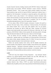 INTOSAI veikla 11 puslapis