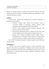 INTOSAI veikla 13 puslapis
