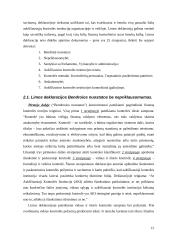 INTOSAI veikla 15 puslapis