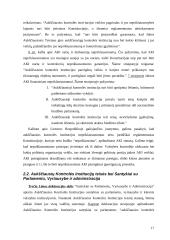 INTOSAI veikla 17 puslapis