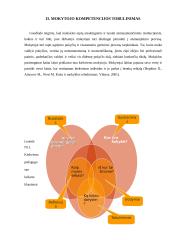 Pedagogų kompetencijos gerinimas 14 puslapis