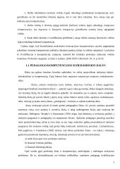 Pedagogų kompetencijos gerinimas 8 puslapis