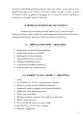 Pedagogų kompetencijos gerinimas 10 puslapis