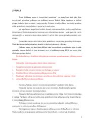 Investicijos Lietuvoje 2 puslapis