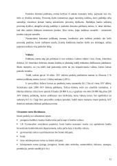 Investicijos Lietuvoje 11 puslapis