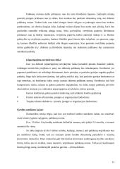 Investicijos Lietuvoje 12 puslapis