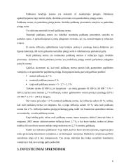 Investicijos Lietuvoje 5 puslapis