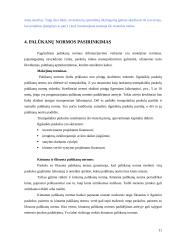 Investicijos Lietuvoje 10 puslapis