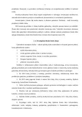 Investicinė parama Lietuvos žemės ūkio subjektams ir jos vertinimas 7 puslapis