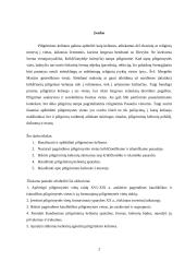 Piligriminės kelionės 2 puslapis