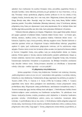 Piligriminės kelionės 20 puslapis