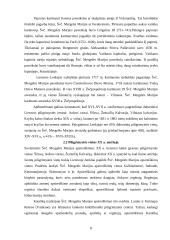 Piligriminės kelionės 8 puslapis