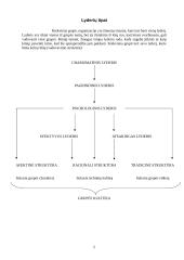 Politinė lyderystė bei politiniai lyderiai 4 puslapis