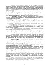 Politinė lyderystė bei politiniai lyderiai 6 puslapis