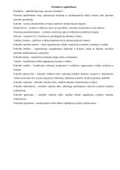 ISO 9000 serijos taikymas pramonės srityje 11 puslapis
