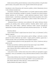 ISO 9000 serijos taikymas pramonės srityje 16 puslapis