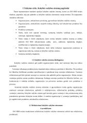 ISO 9000 serijos taikymas pramonės srityje 3 puslapis