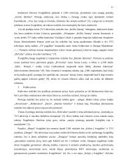 Realybės šou reklama 11 puslapis