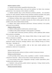 Realybės šou reklama 7 puslapis