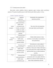 Išorinių ir vidinių veiksnių analizė: AB "Ragutis" 11 puslapis