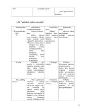 Išorinių ir vidinių veiksnių analizė: AB "Ragutis" 13 puslapis