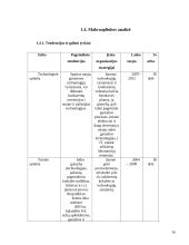 Išorinių ir vidinių veiksnių analizė: AB "Ragutis" 16 puslapis