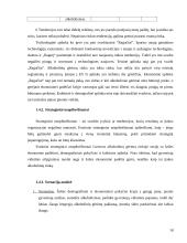 Išorinių ir vidinių veiksnių analizė: AB "Ragutis" 18 puslapis