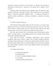 Išorinių ir vidinių veiksnių analizė: AB "Ragutis" 7 puslapis