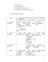 Išorinių ir vidinių veiksnių analizė: AB "Ragutis" 8 puslapis