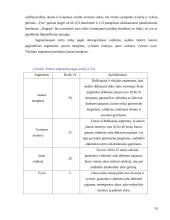 Išorinių ir vidinių veiksnių analizė: AB "Ragutis" 10 puslapis