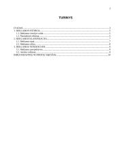 Reklamos rūšys: privalumai ir trūkumai 3 puslapis