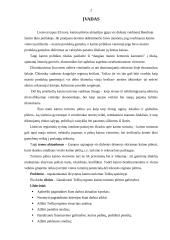 Kaimo turizmo plėtros galimybių analizė 2 puslapis