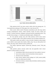 Kaimo turizmo plėtros galimybių analizė 12 puslapis
