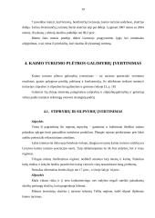 Kaimo turizmo plėtros galimybių analizė 19 puslapis
