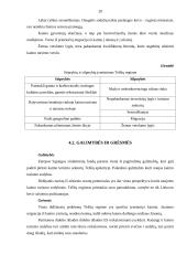 Kaimo turizmo plėtros galimybių analizė 20 puslapis